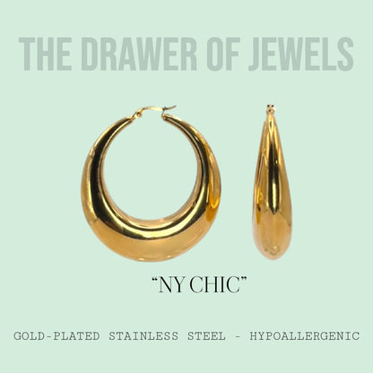 NY Chic Earring